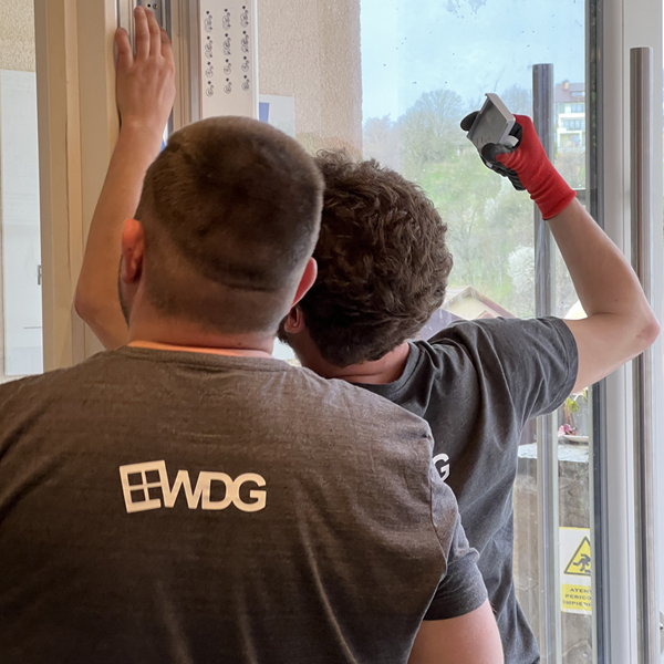 Experienta echipei WDG